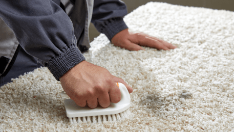 Professional Rug Cleaning Garden City
