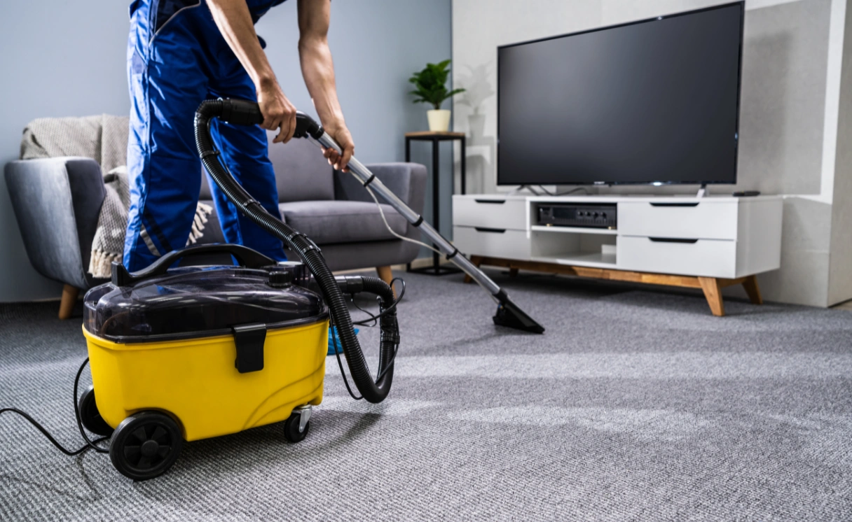 Extract Rug Cleaning Garden City Contact Office